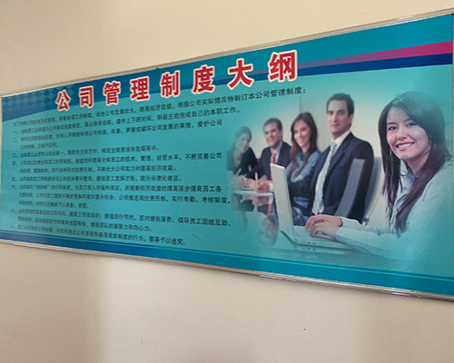 公司文化